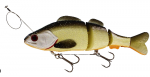 Westin Percy the Perch Inline Official Roach